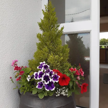 From In East Galway