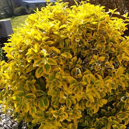 Holiday home From In East Galway Ballycrossaun