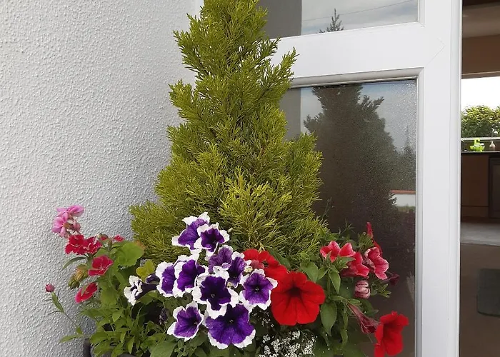 From In East Galway