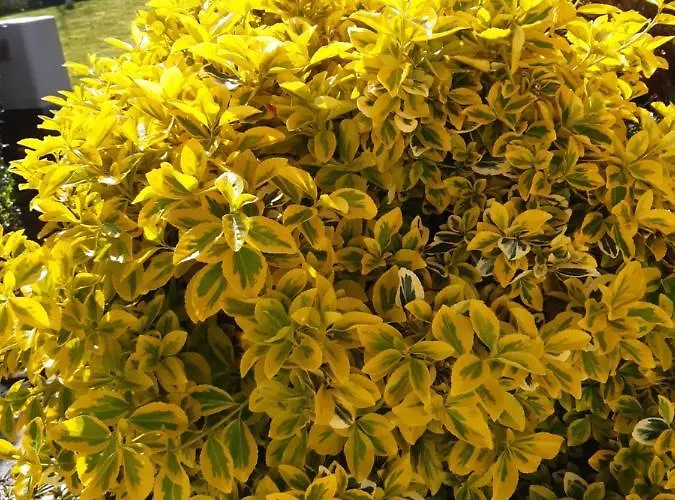 Hébergement de vacances From In East Galway Ballycrossaun