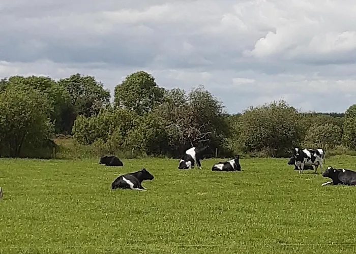 Hébergement de vacances From In East Galway *