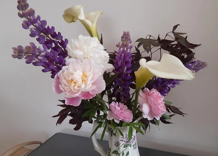 From In East Galway Hébergement de vacances Ballycrossaun